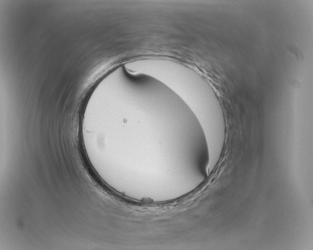 X0000115190005200911181457