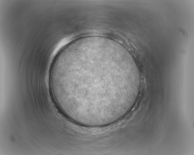 X0000115190006200911181457