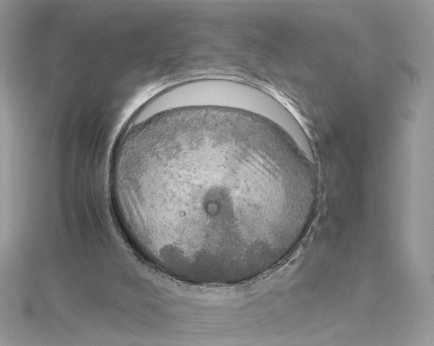 X0000115190008200911181457