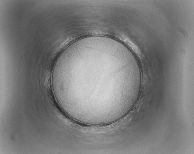 X0000115190009200911181457