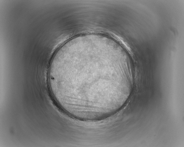 X0000115190010200911181457