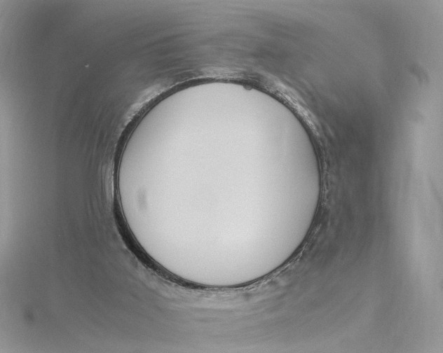 X0000115190011200911181457