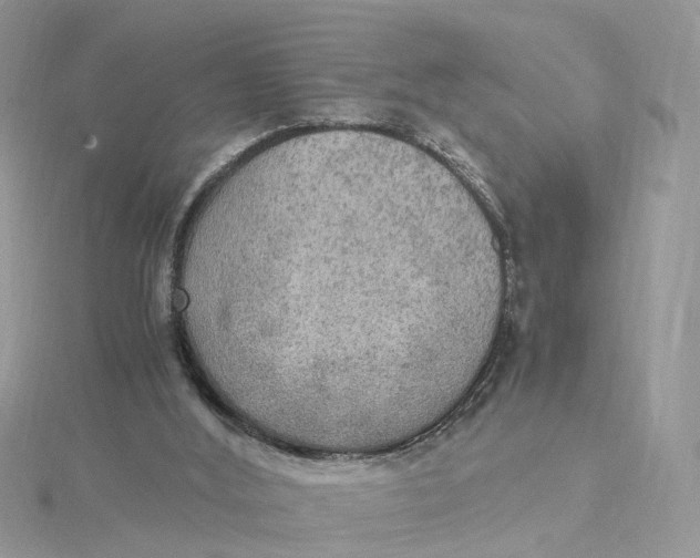 X0000115190012200911181457