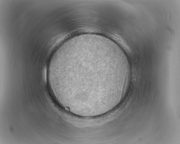 X0000115190014200911181457