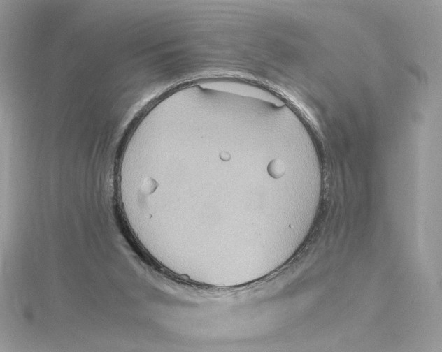 X0000115190015200911181457