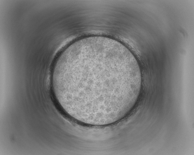 X0000115190016200911181457