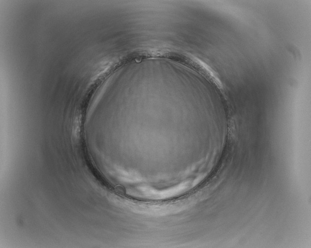 X0000115190018200911181457