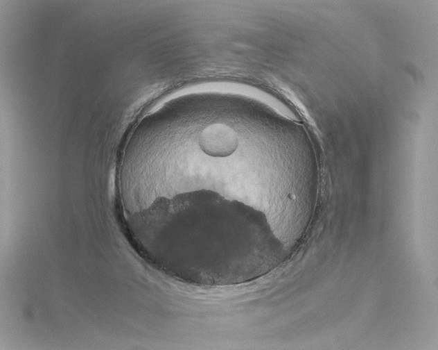 X0000115190019200911181457