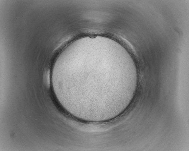 X0000115190020200911181457