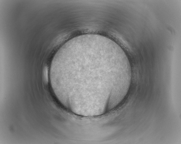 X0000115190022200911181457