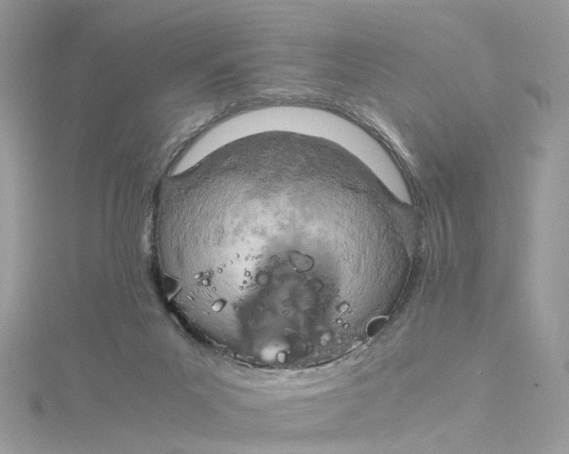 X0000115190023200911181457