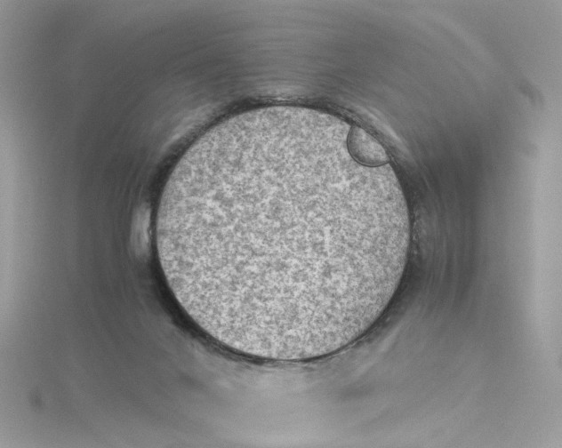 X0000115190024200911181457