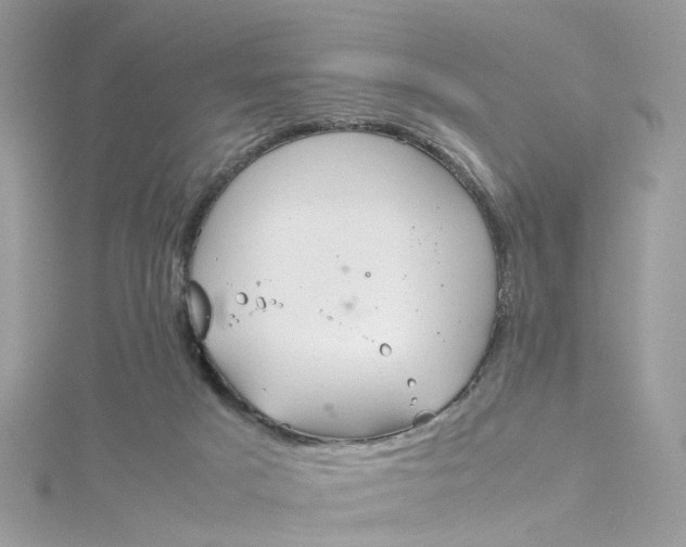 X0000115190025200911181457