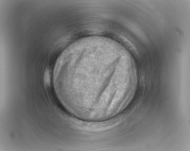 X0000115190026200911181457