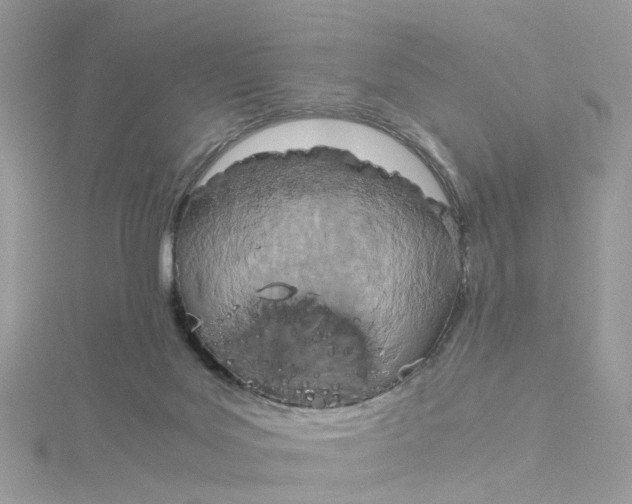 X0000115190027200911181457