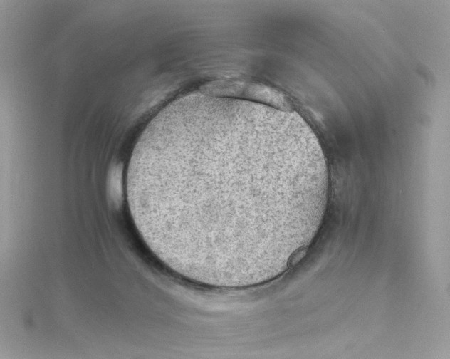 X0000115190028200911181457