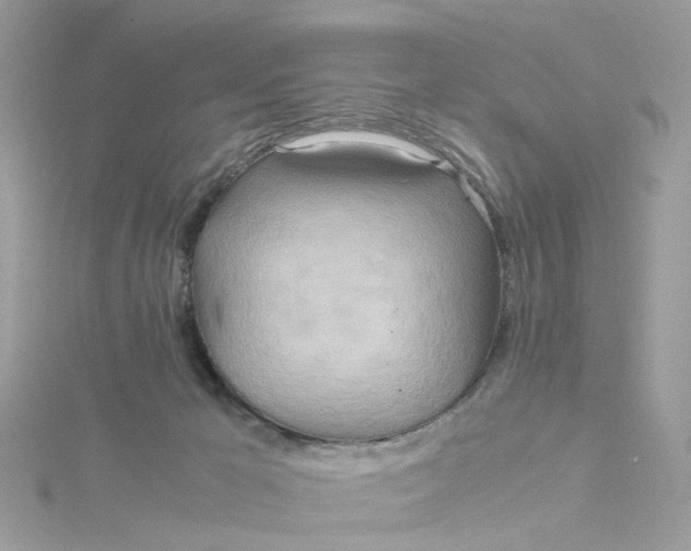 X0000115190029200911181457