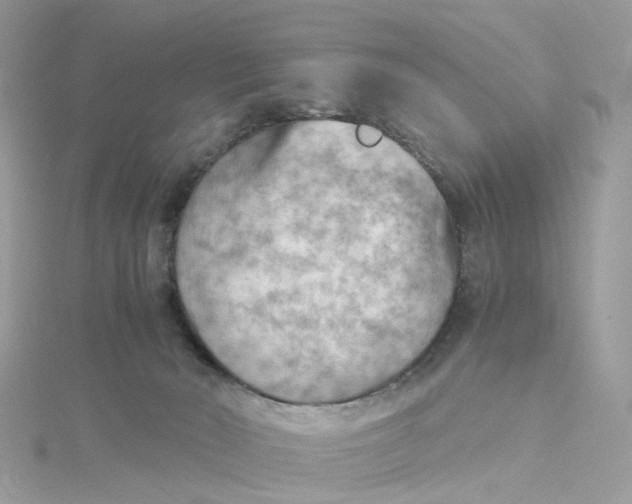 X0000115190030200911181457