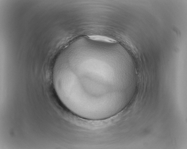 X0000115190031200911181457