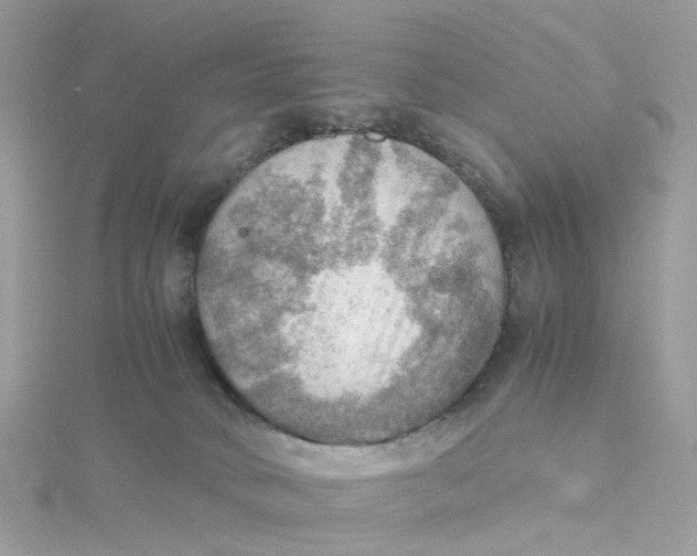 X0000115190034200911181457