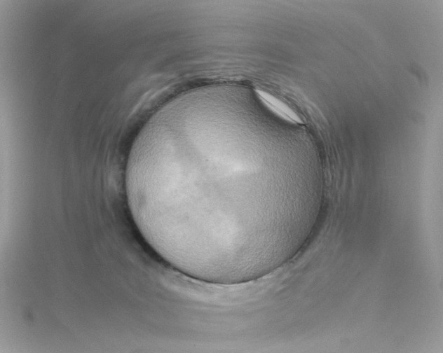 X0000115190035200911181457