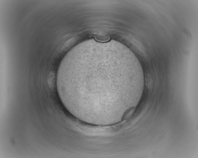 X0000115190036200911181457