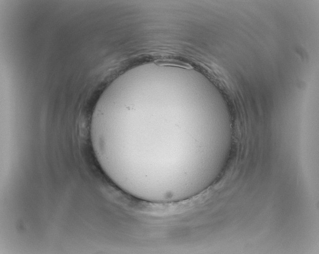 X0000115190037200911181457