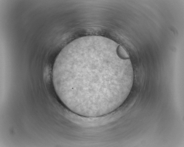 X0000115190038200911181457