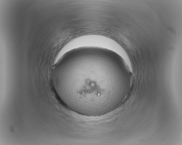 X0000115190039200911181457