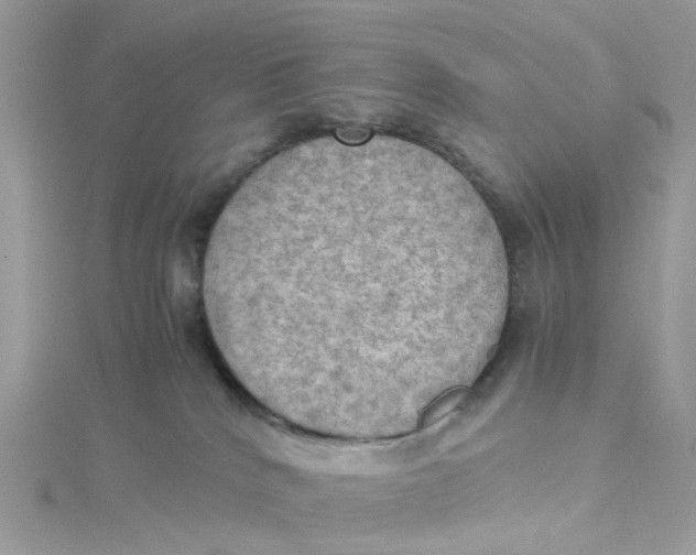 X0000115190040200911181457