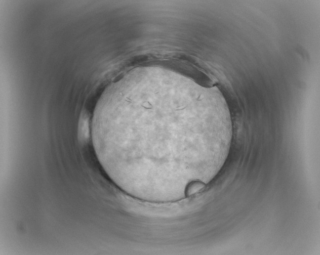 X0000115190042200911181457