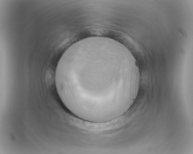 X0000115190043200911181457