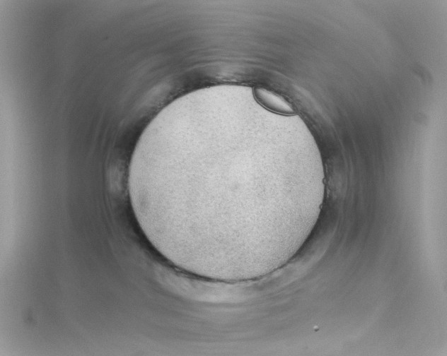 X0000115190044200911181457