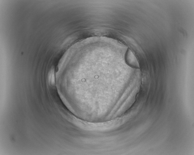 X0000115190046200911181457