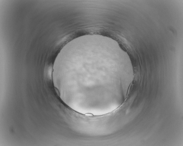 X0000115190047200911181457