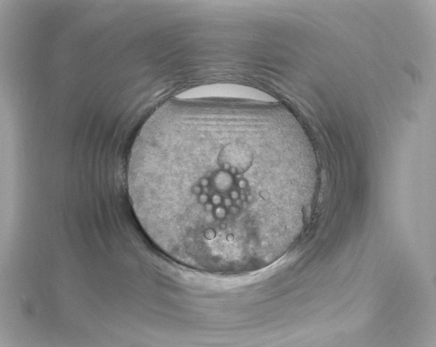 X0000115190048200911181457