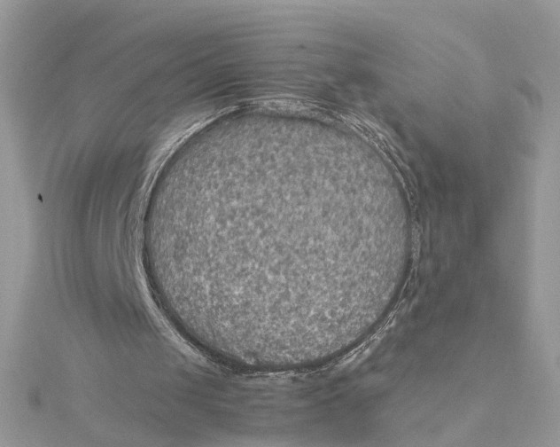 X0000115190049200911181456