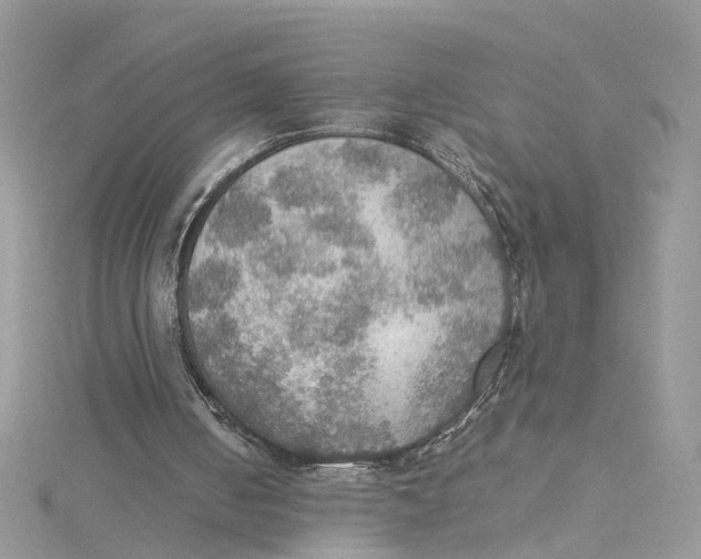 X0000115190050200911181456