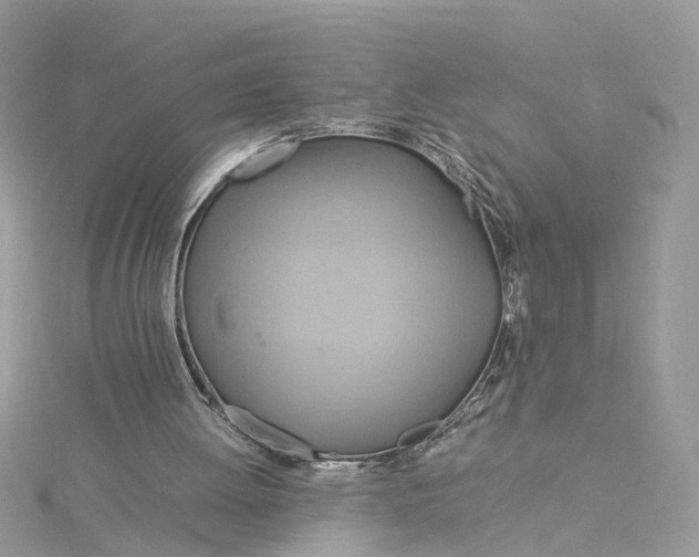 X0000115190052200911181456