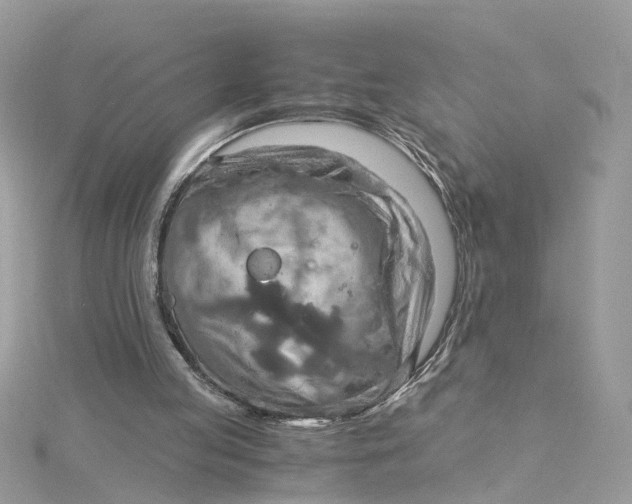 X0000115190053200911181456