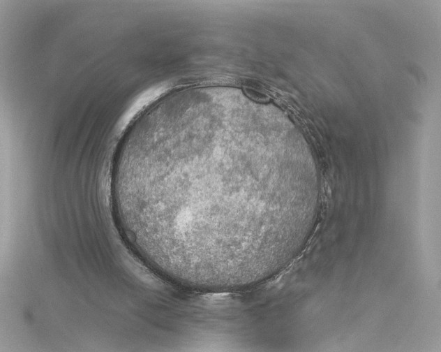 X0000115190054200911181456