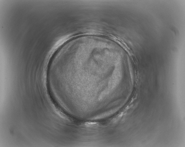 X0000115190055200911181456