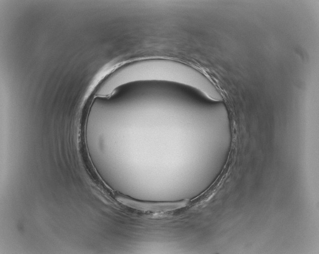 X0000115190056200911181456