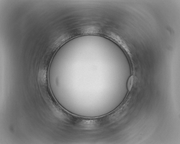 X0000115190057200911181456