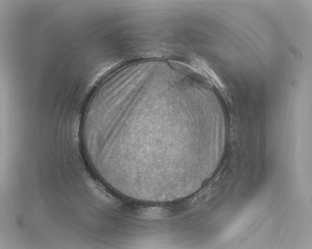 X0000115190058200911181456