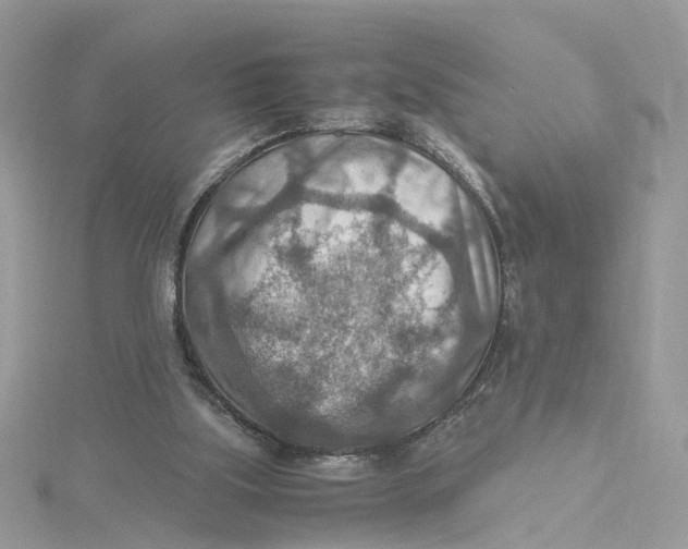 X0000115190059200911181456