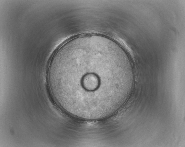 X0000115190060200911181456