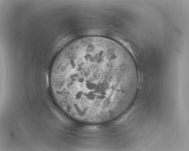 X0000115190061200911181456