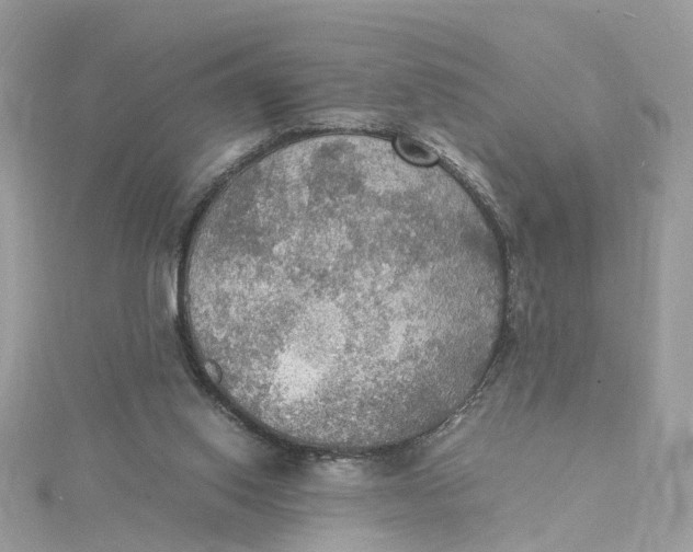 X0000115190062200911181456