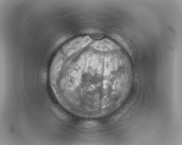 X0000115190063200911181456